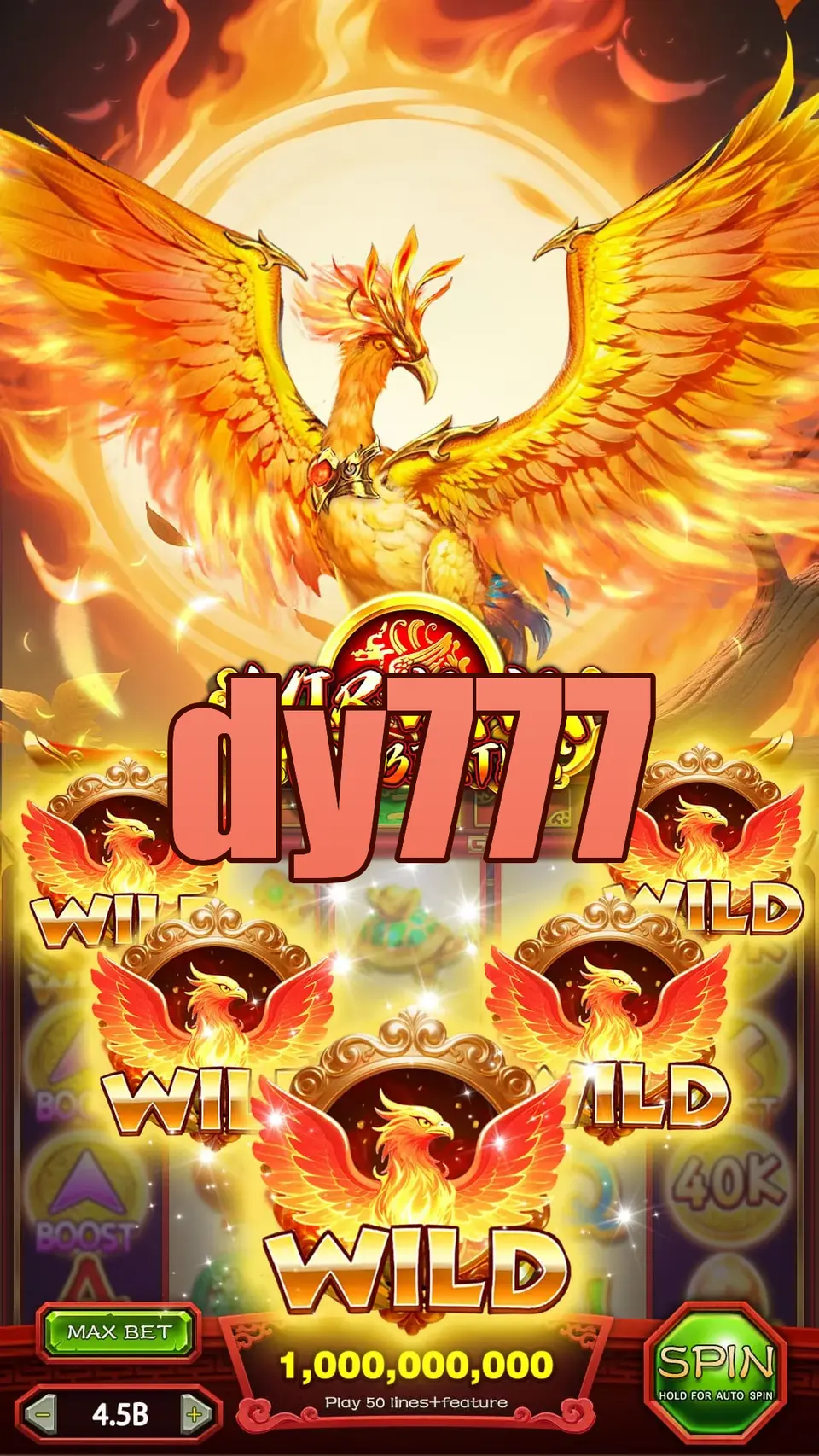 dy777 Masuk